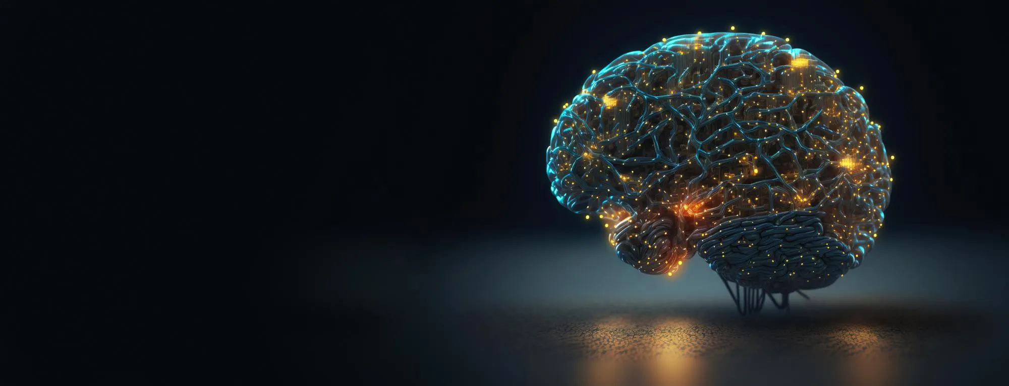 immsersive solutions